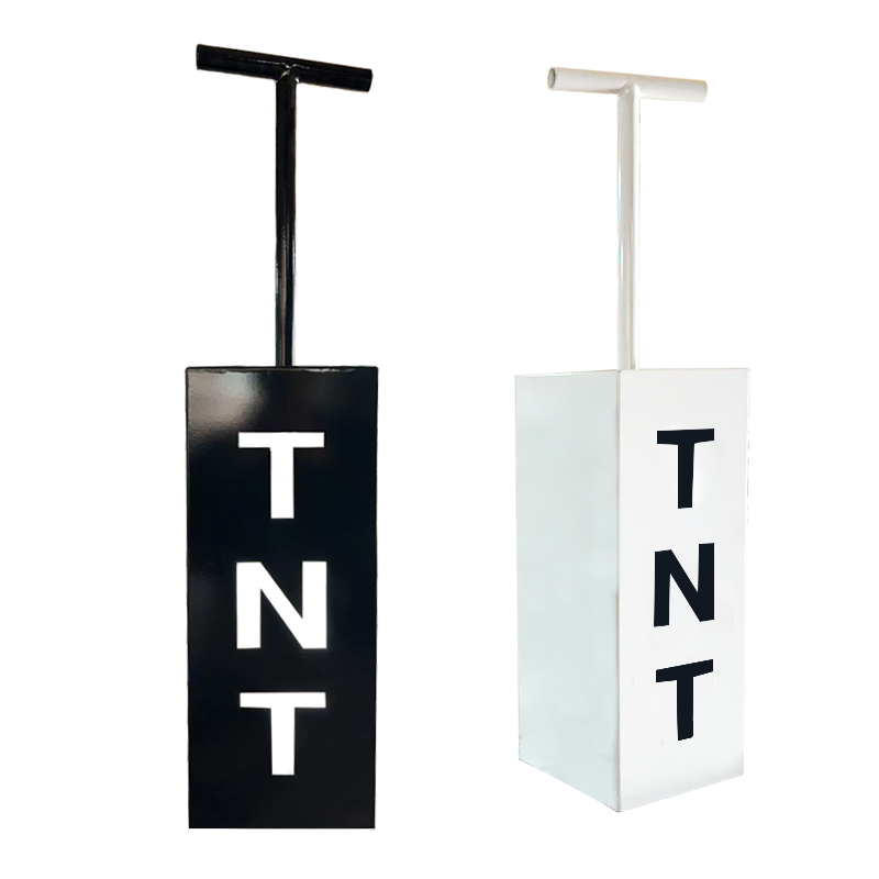 TNT Control Cannon Gender Reve - Confetti Cannon Tube ulasan dan harga